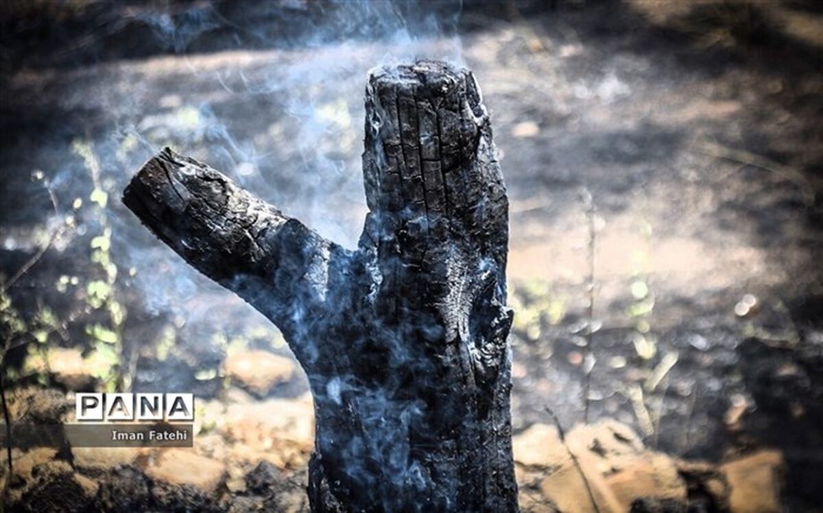 هشدار محیط زیست: آتش سوزی در کمین جنگل‌ها و مراتع مازندران