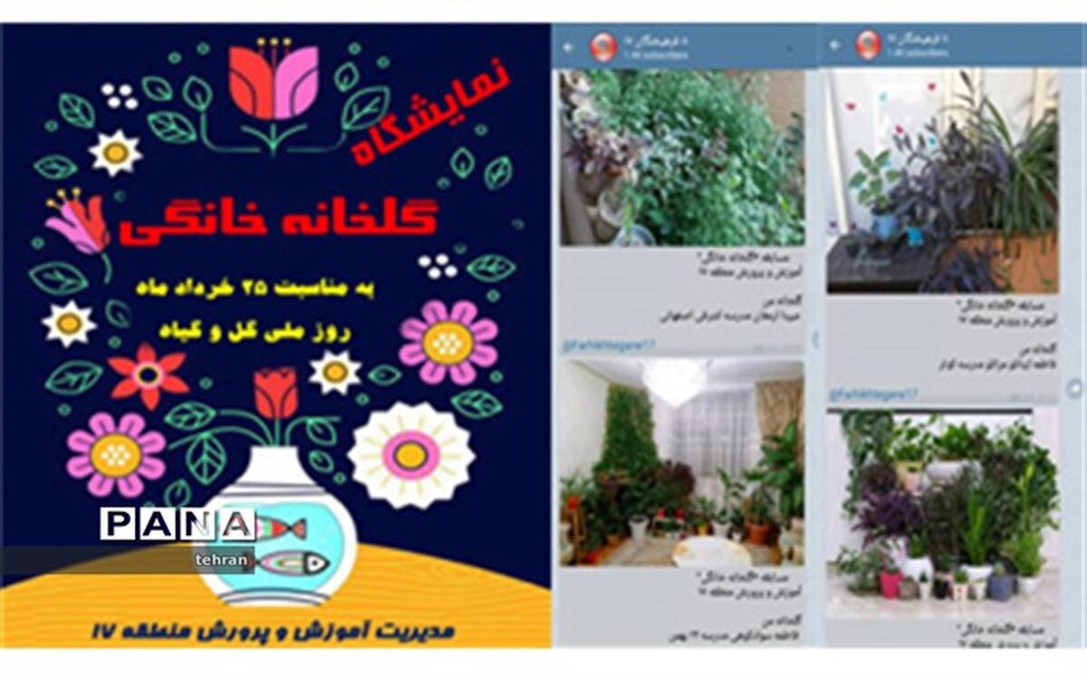 برگزاری مسابقه مجازی عکس گلخانه خانگی در منطقه17