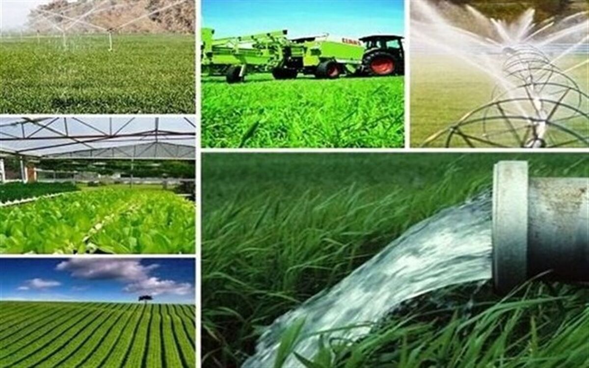 توسعه کشاورزی قراردادی به پایداری تولید کمک می‌کند