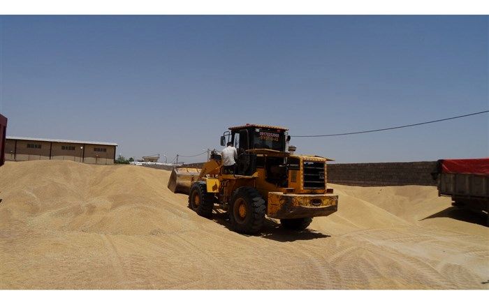 ۸ مرکز خرید گندم در مهاباد راه‌اندازی شد