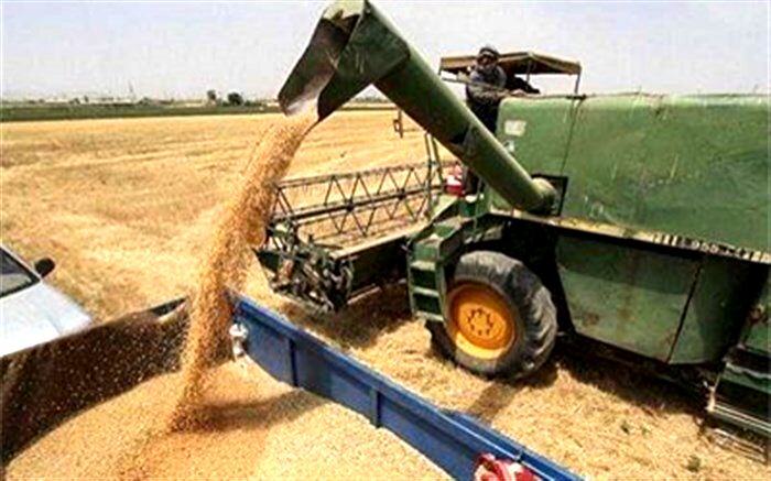 تحویل گندمهای عاری از آفات نباتی، آلودگی و ناخالصی، به دولت مشمول جایزه پاکی خواهد بود