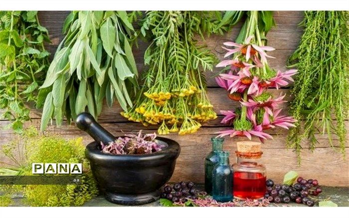 عملیات ساخت کارخانه فرآوری گیاهان دارویی در الیگودرز آغاز شد