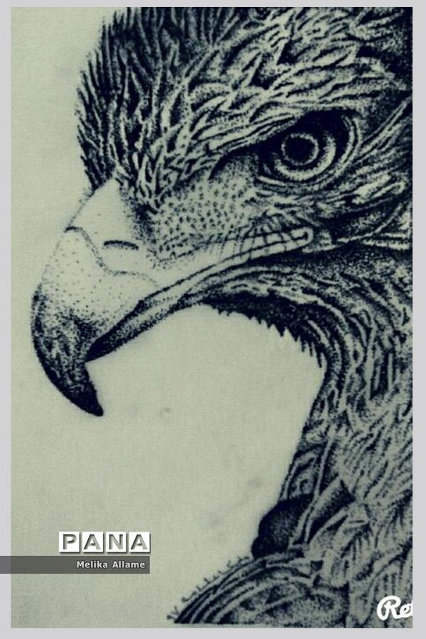 نمایشگاه مجازی آثار هنری دانش‌آموزان دبیرستان علوی شیراز