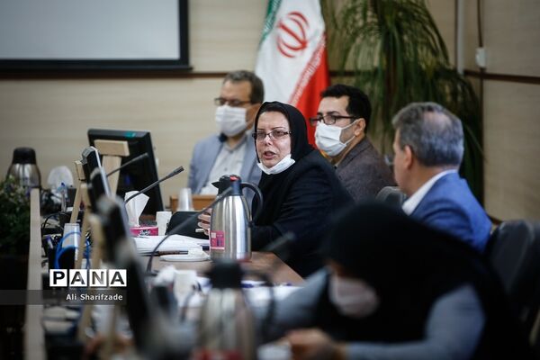 نشست تبیین ابعاد جامعه شناسی، روانشناختی و تربیت خشونت خانگی