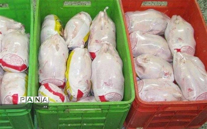 فروش مرغ به خارج از شهرستان خرم‌آباد ممنوع شد