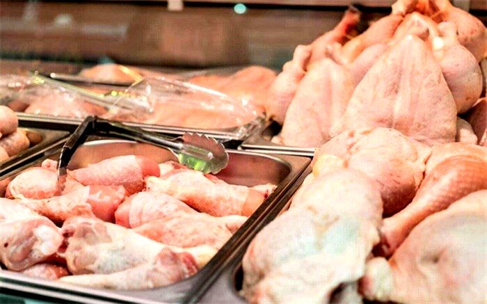 آغاز عرضه گسترده گوشت مرغ در سراسر کشور