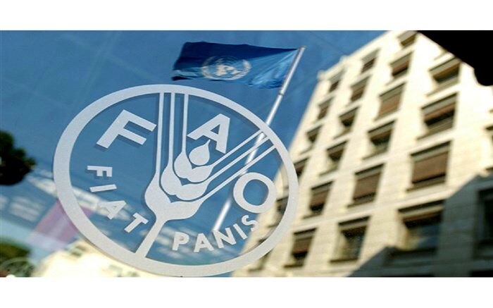 قیمت جهانی مواد غذایی بالا رفت