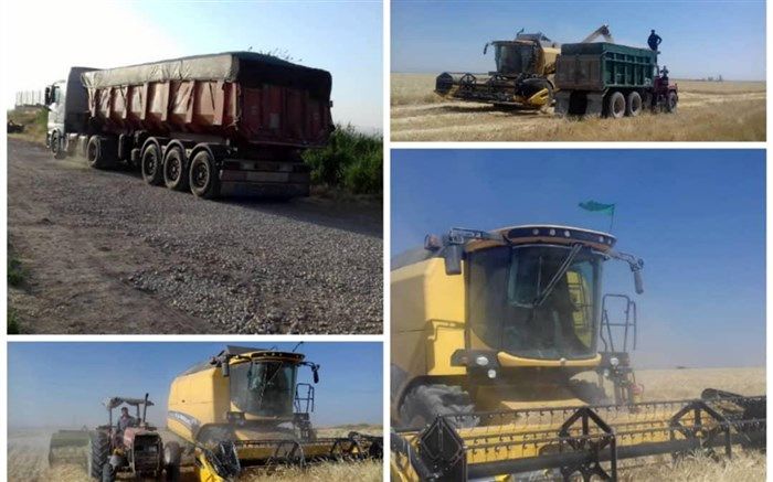 حفظ نقدینگی کشور با تولید نهاده دامی در صنایع شیر ایران