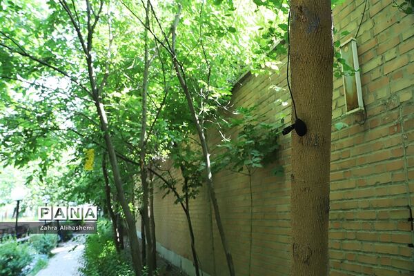 تولید محتوای سازمان دانش آموزی شهر تهران در منطقه 14