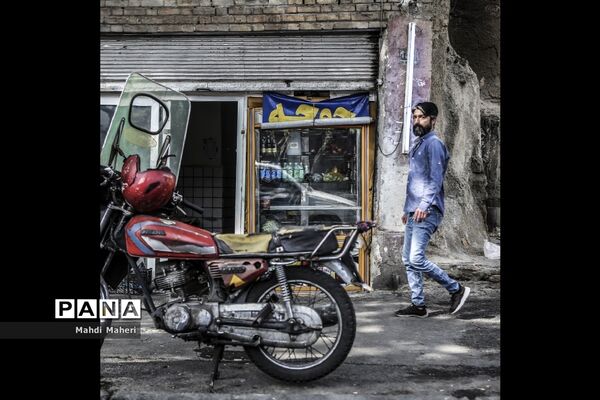 میهمان ناخوانده در اغذیه فروشی ها