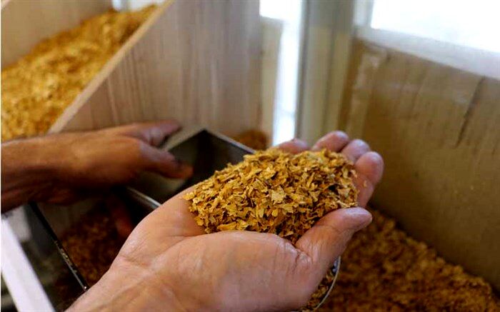 کشف ۹ میلیارد توتون و تنباکو در جنوب تهران