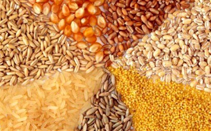 ادامه چالش ها در واردات نهاده های دامی