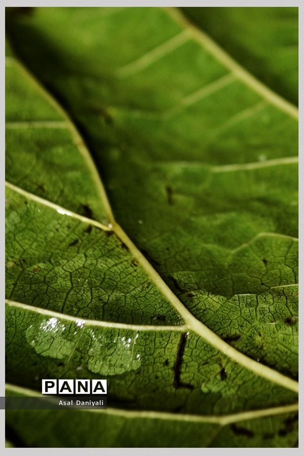 نمایشگاه مجازی آثار هنرجویان هنرستان نمونه دولتی مهر در شیراز