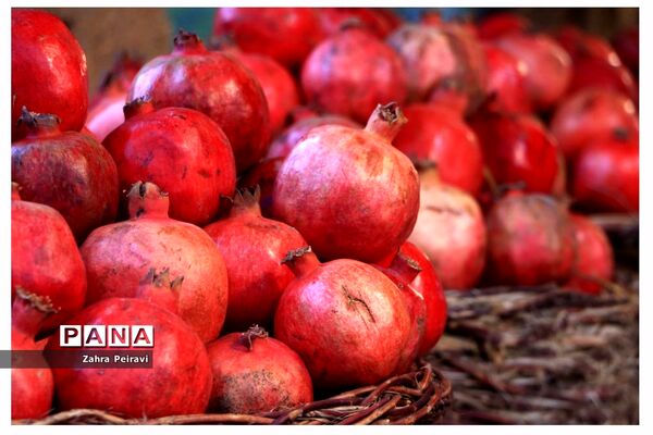 نمایشگاه مجازی آثار هنرجویان هنرستان نمونه دولتی مهر در شیراز