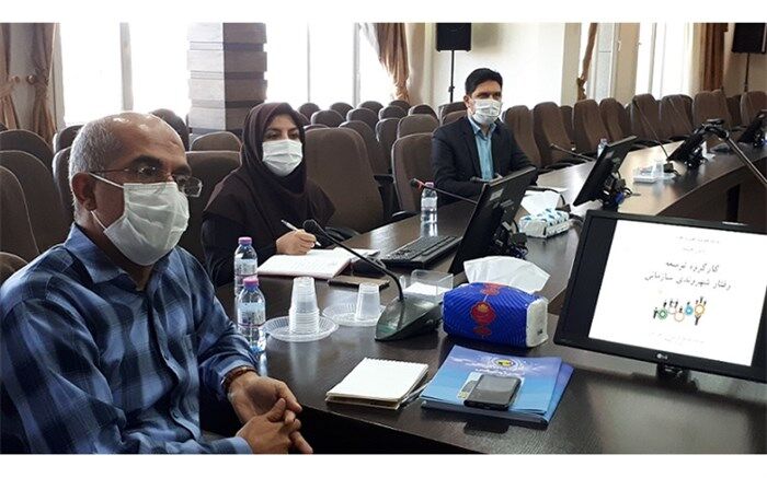 تشکیل کارگروه رفتارشهروندی شرکت توزیع نیروی برق استان فارس
