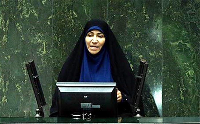 انتقاد چنارانی از نگاه جنسیتی در انتخاب دبیران کمیسیون‌های مجلس