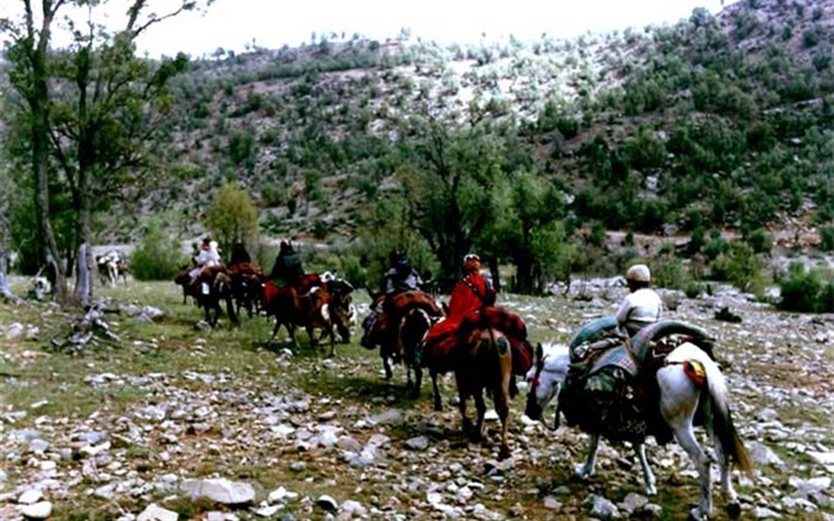 کوچ مکانیزه از ابتلای عشایر به کرونا جلوگیری کرد