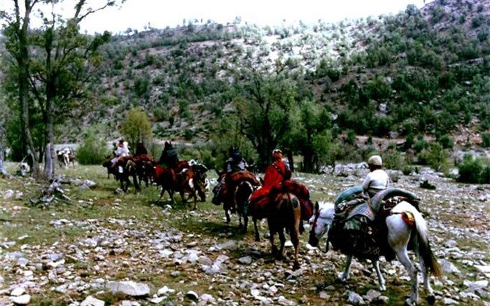 کوچ مکانیزه از ابتلای عشایر به کرونا جلوگیری کرد