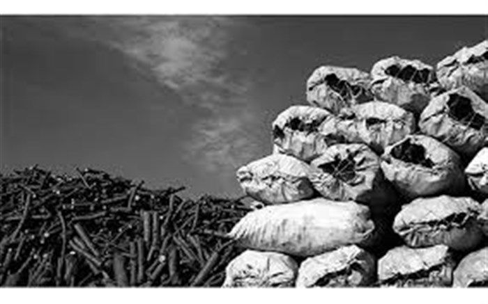 کشف انبار زغال جنگلی قاچاق در شهرستان رستم