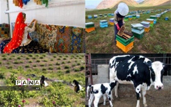 بیمه کارگران طرح‌های مشاغل روستایی اجباری شد