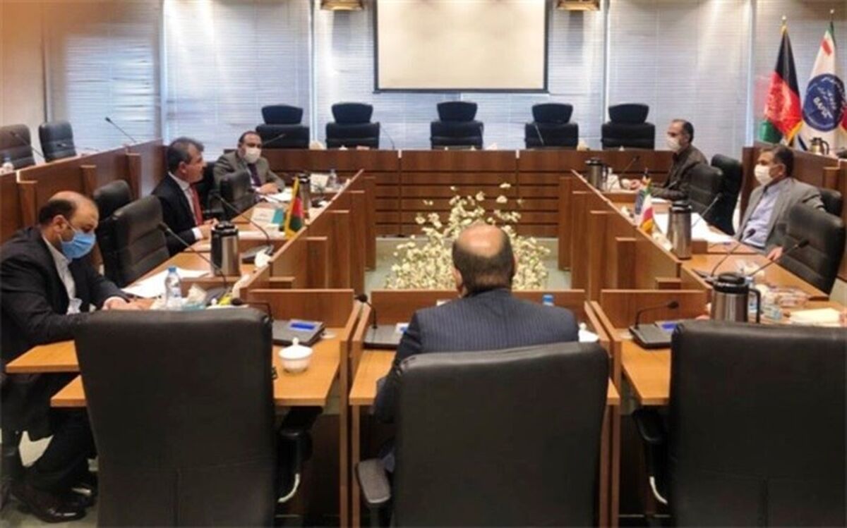 پروژه تثبیت هویت اتباع افغانستانی آغاز می‌شود