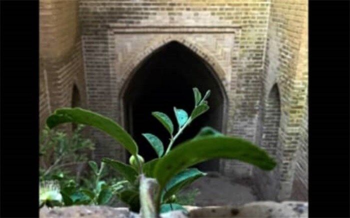 اختتامیه اولین جشنواره استانی کاریز برگزار شد