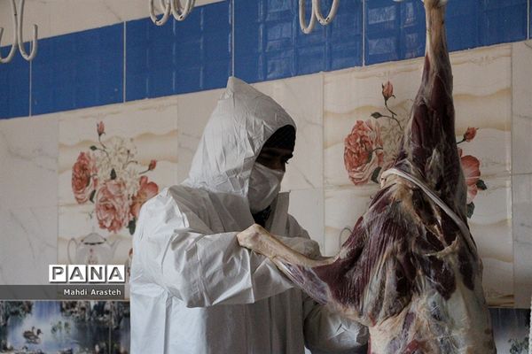 دیدارمسئولان از قربانگاه های شهرستان خوسف در عید قربان