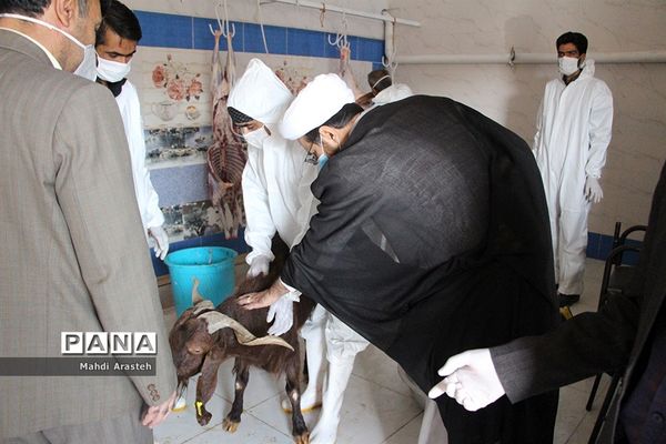 دیدارمسئولان از قربانگاه های شهرستان خوسف در عید قربان