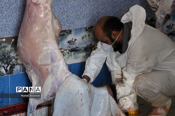 دیدارمسئولان از قربانگاه های شهرستان خوسف در عید قربان