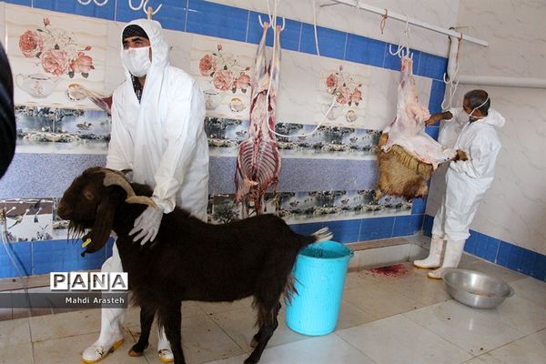 دیدارمسئولان از قربانگاه های شهرستان خوسف در عید قربان