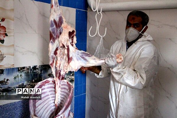 دیدارمسئولان از قربانگاه های شهرستان خوسف در عید قربان
