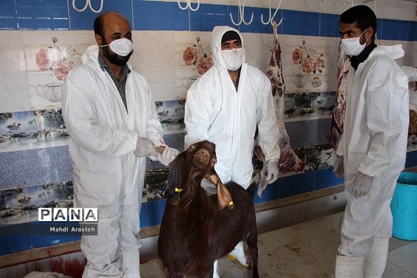 دیدارمسئولان از قربانگاه های شهرستان خوسف در عید قربان