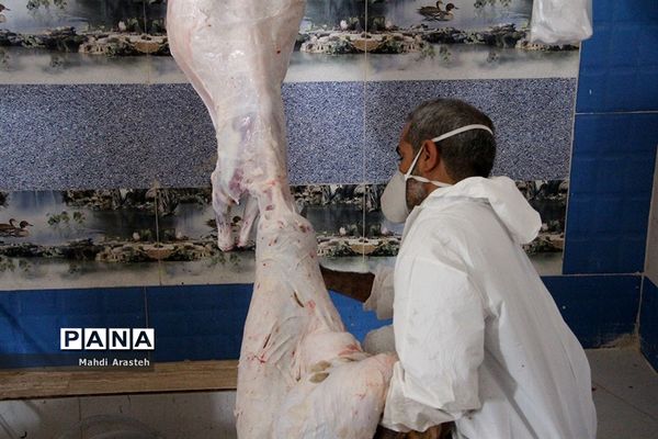 دیدارمسئولان از قربانگاه های شهرستان خوسف در عید قربان