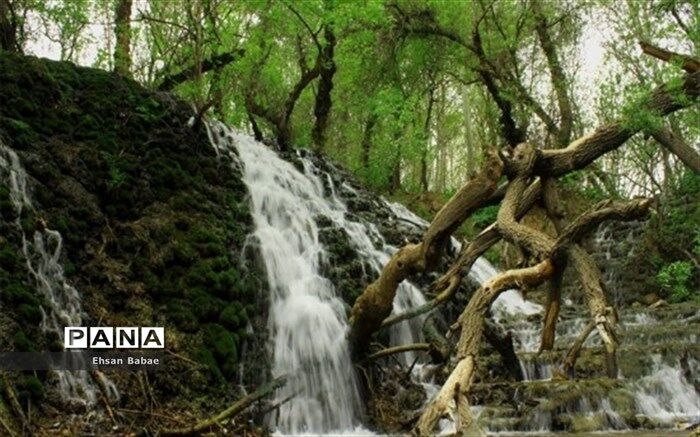 تفرجگاه های درگز تا اطلاع ثانوی تعطیل شد