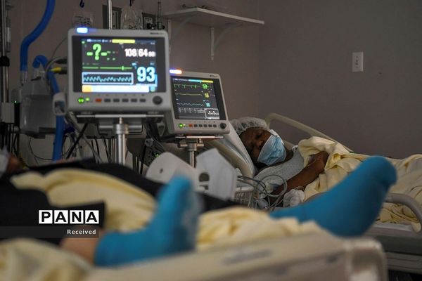 کرونا همچنان قربانی میگیرد