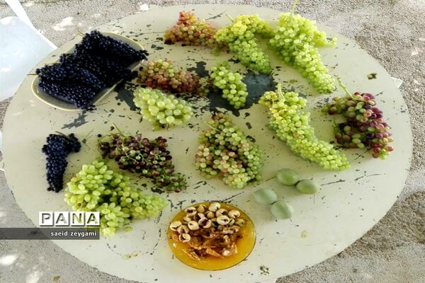 اولین مجموعه باغ نخبه استان فارس درشهر مشکان