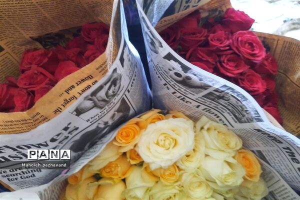 اهدای 1000 شاخه گل رزبه شهروندان شیرازی  به مناسبت عید غدیر