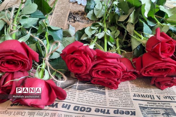 اهدای 1000 شاخه گل رزبه شهروندان شیرازی  به مناسبت عید غدیر