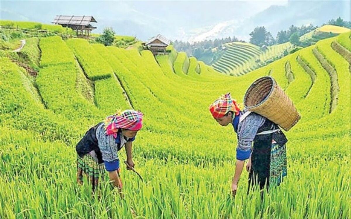 رونق روستاگردی از پنج مسیر