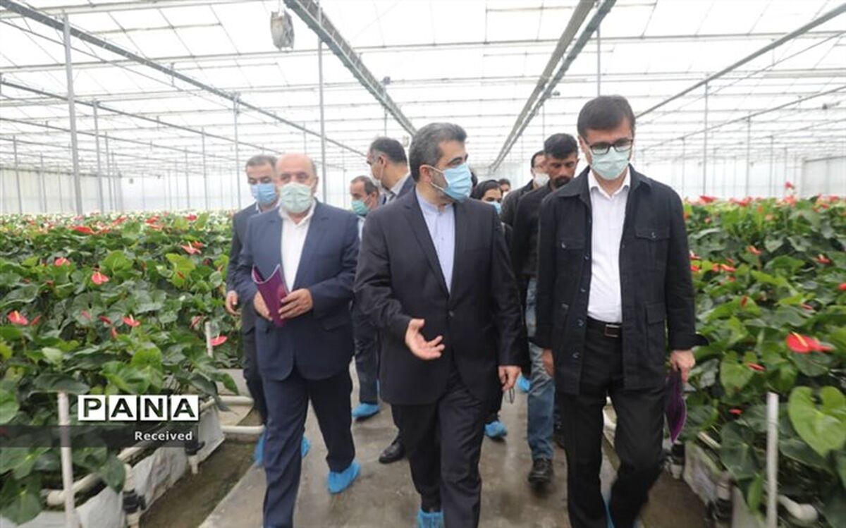 2000 واحد تولیدی راکد با تصمیم ستاد تسهیل به چرخه تولید بازمی‌گردند