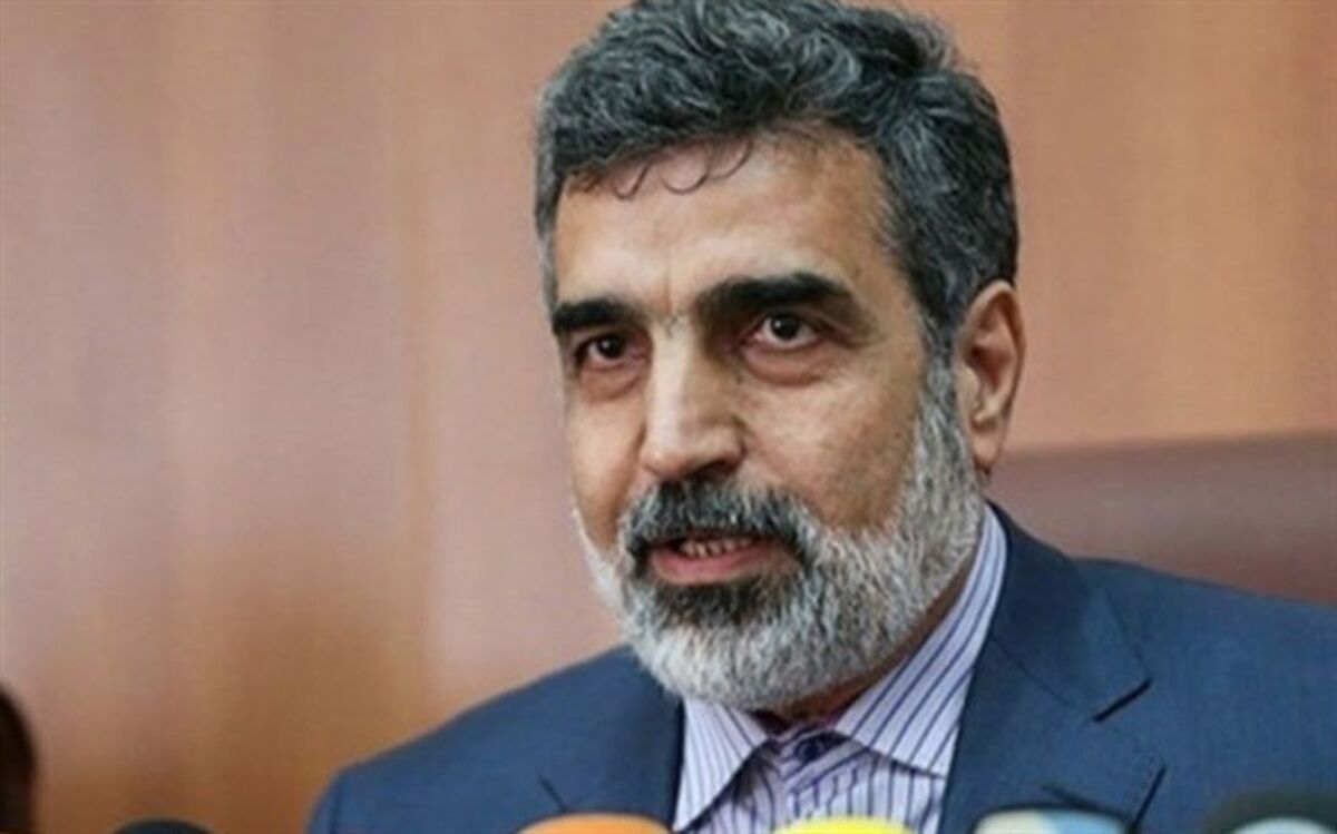 کمالوندی: فشارهای ترامپ نتیجه‌ای جز انزوای بیشتر آمریکا ندارد