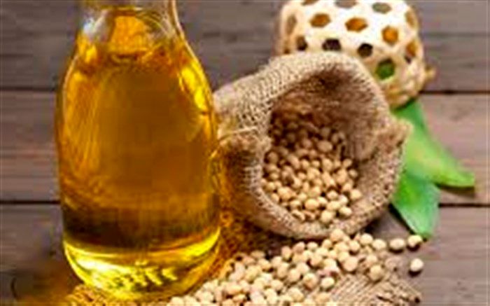 قرار گرفتن دانه روغنی سویا در الگوی کشت استان فارس