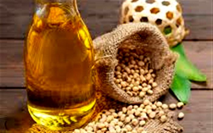 قرار گرفتن دانه روغنی سویا در الگوی کشت استان فارس