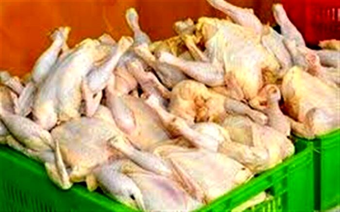 توزیع مرغ به نرخ دولتی در میادین میوه و تره‌بار
