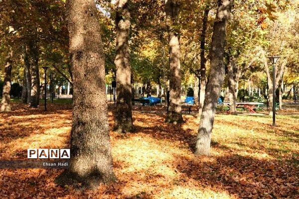 جلوه گری پاییز در مشهد