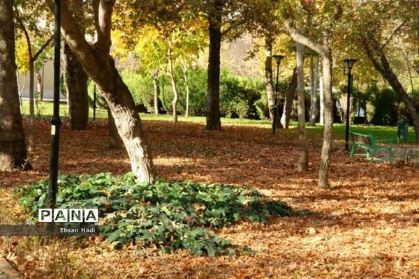 جلوه گری پاییز در مشهد