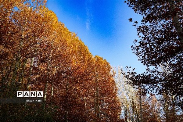 جلوه گری پاییز در مشهد