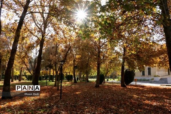جلوه گری پاییز در مشهد