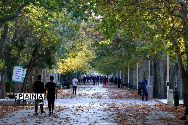 جلوه گری پاییز در مشهد