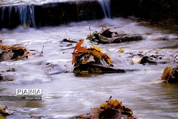 جلوه گری پاییز در مشهد